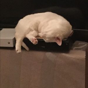 Meet your Posher, Mya